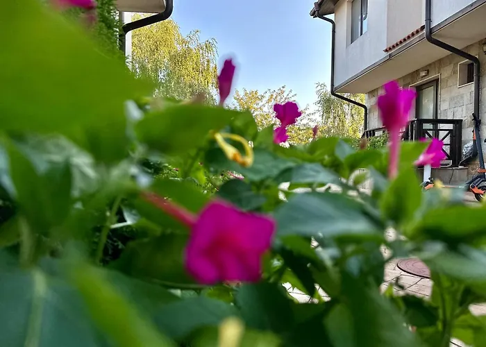 Вилла Menada Imperial Heights Солнечный берег