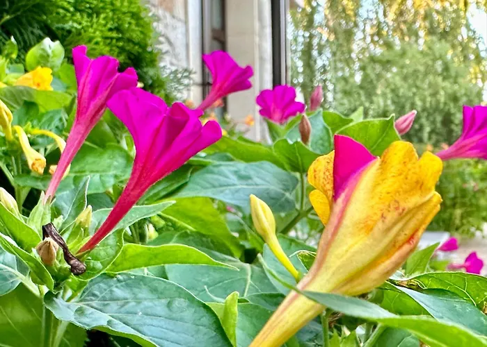 Вилла Menada Imperial Heights *